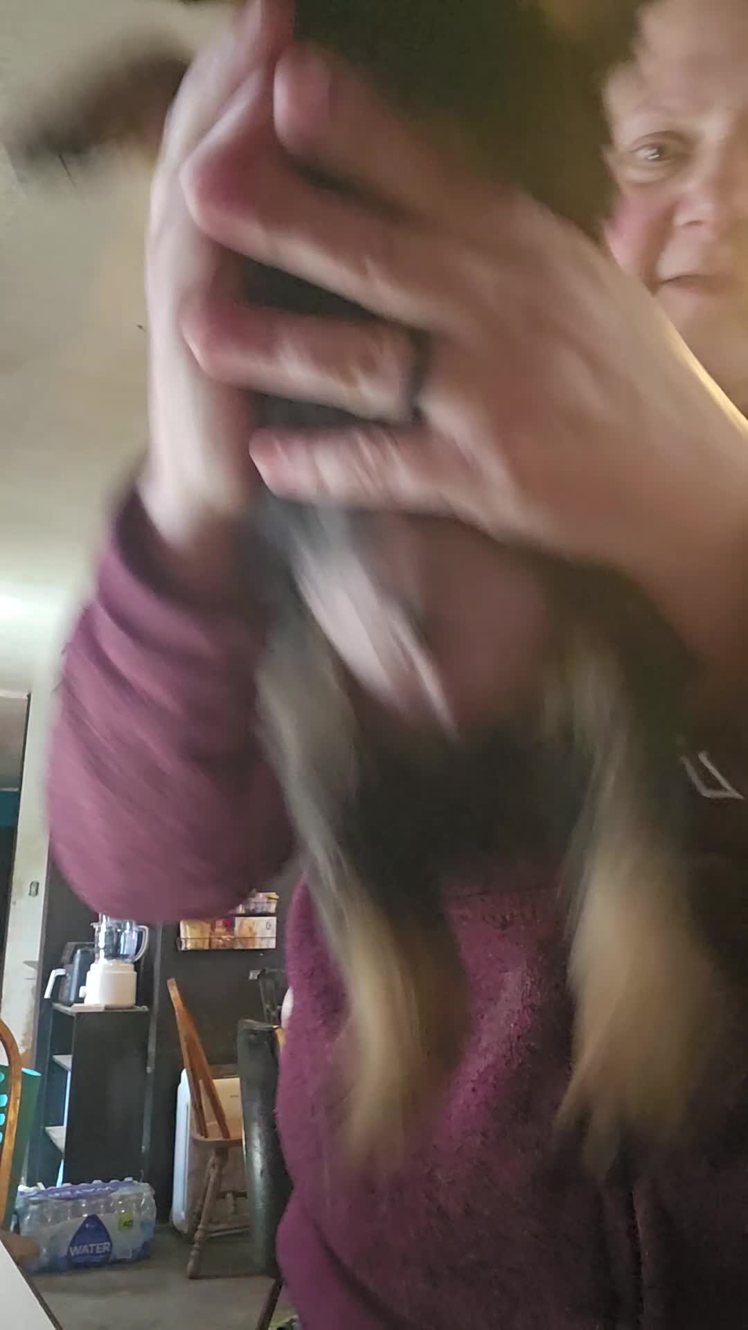 Rottweiler dogs for sale: Rottweiler Puppy 4 - Video 1