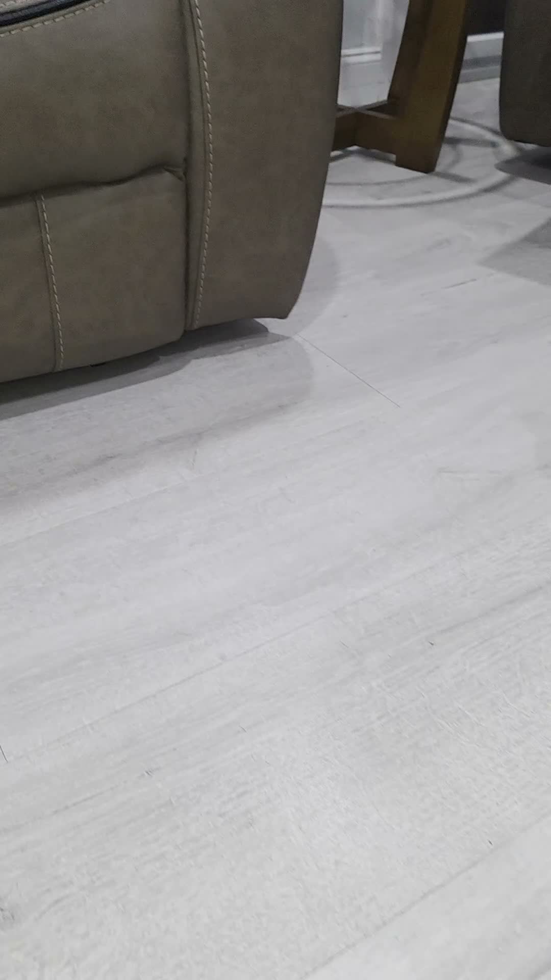 French Bulldog dogs for sale: Stark - Video 1