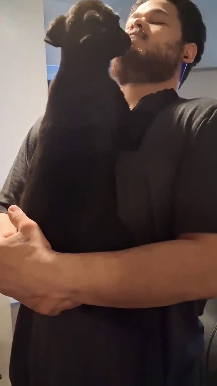 German Shepherd dogs for sale: Pepper 💜 - Video 1