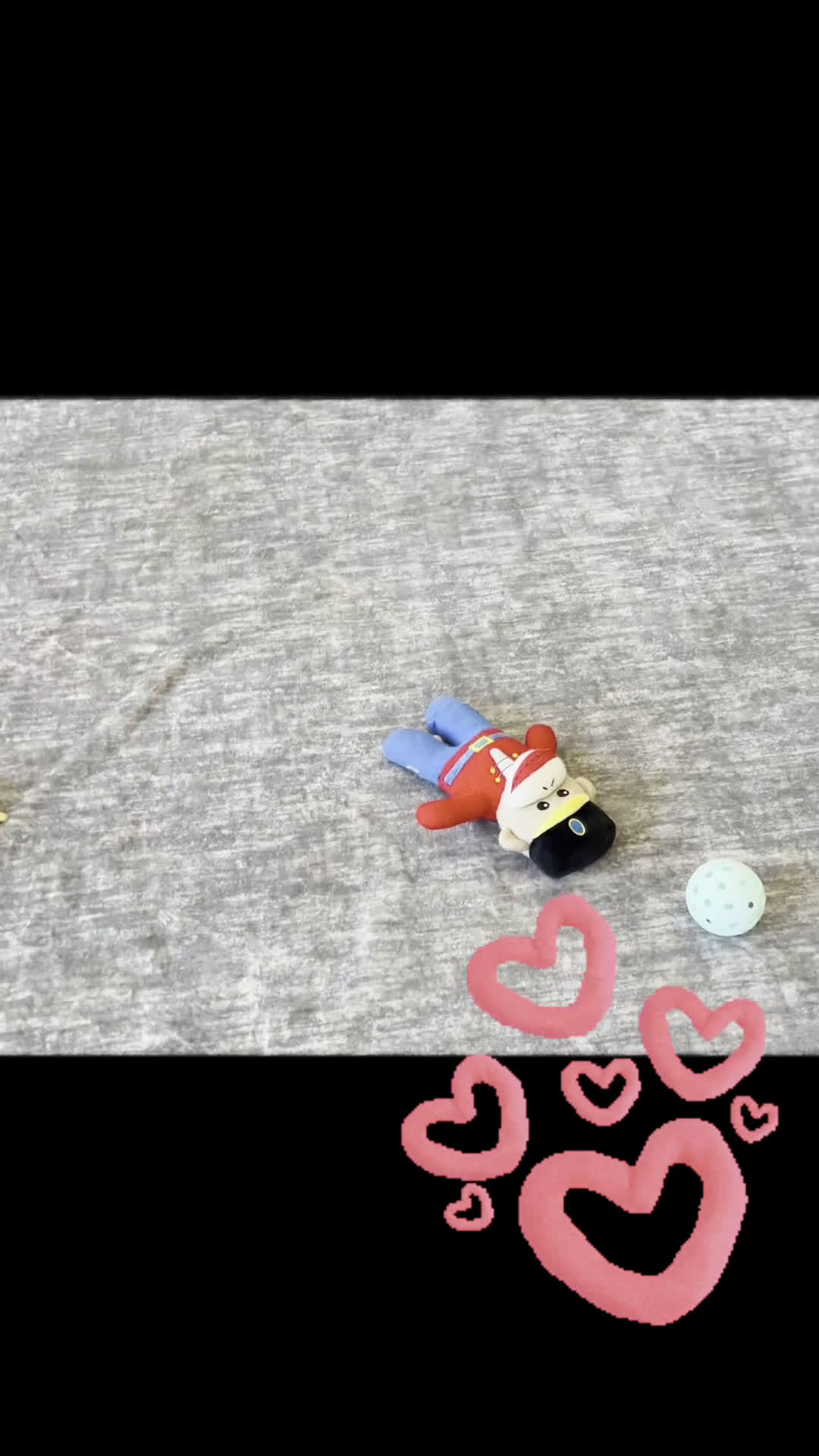 French Bulldog dogs for sale: Rolls Royce - Video 1