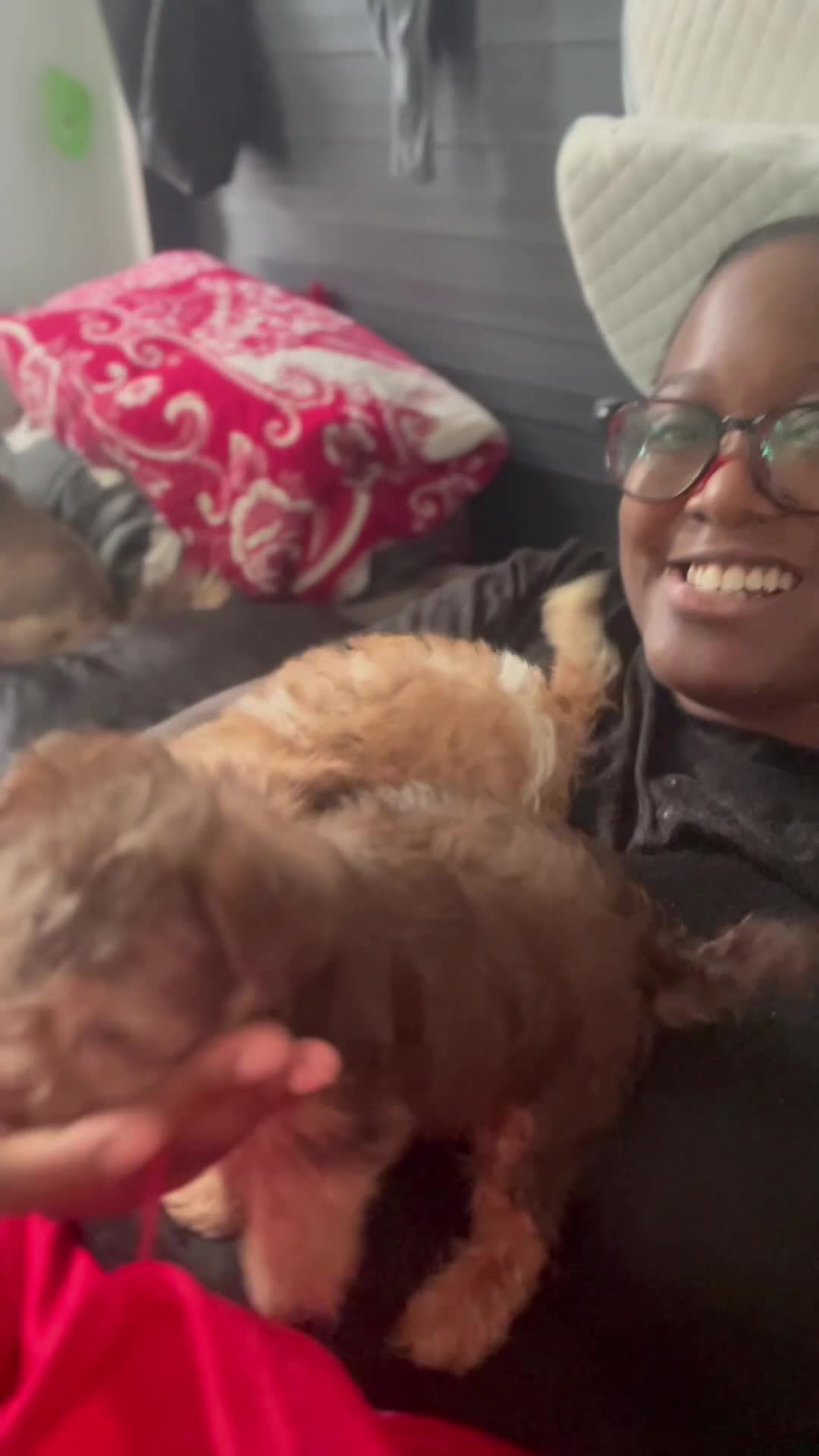 Mixed Breed dogs for sale: Pebbles  - Video 6