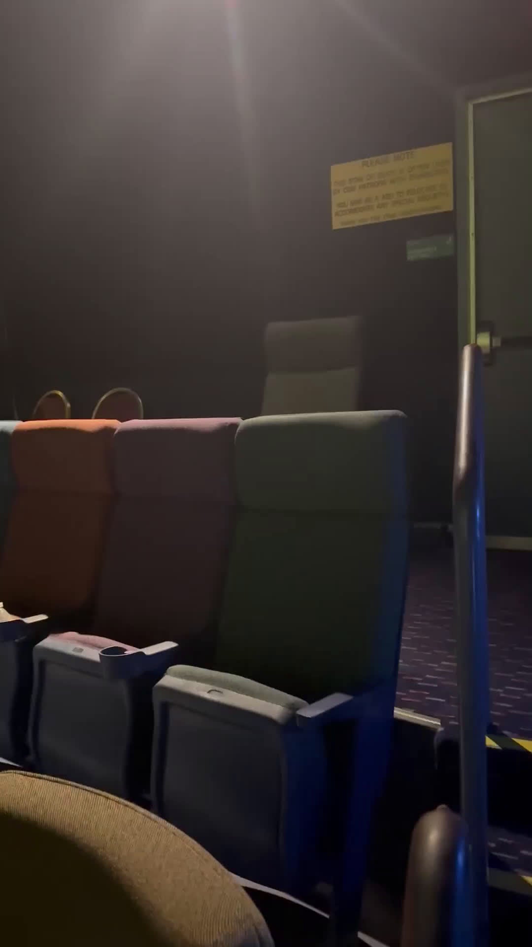 American Bully dogs for sale: American Bully Puppy 3 - Video 1