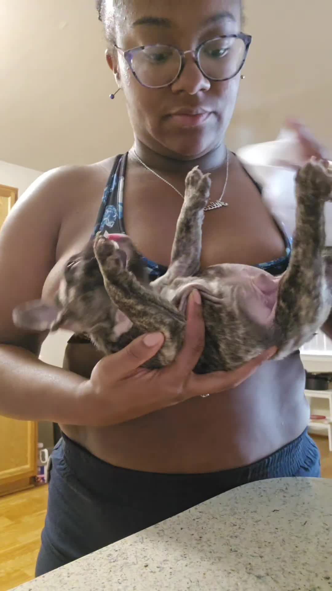 French Bulldog dogs for sale: Sky 🌌🐾 - Video 2