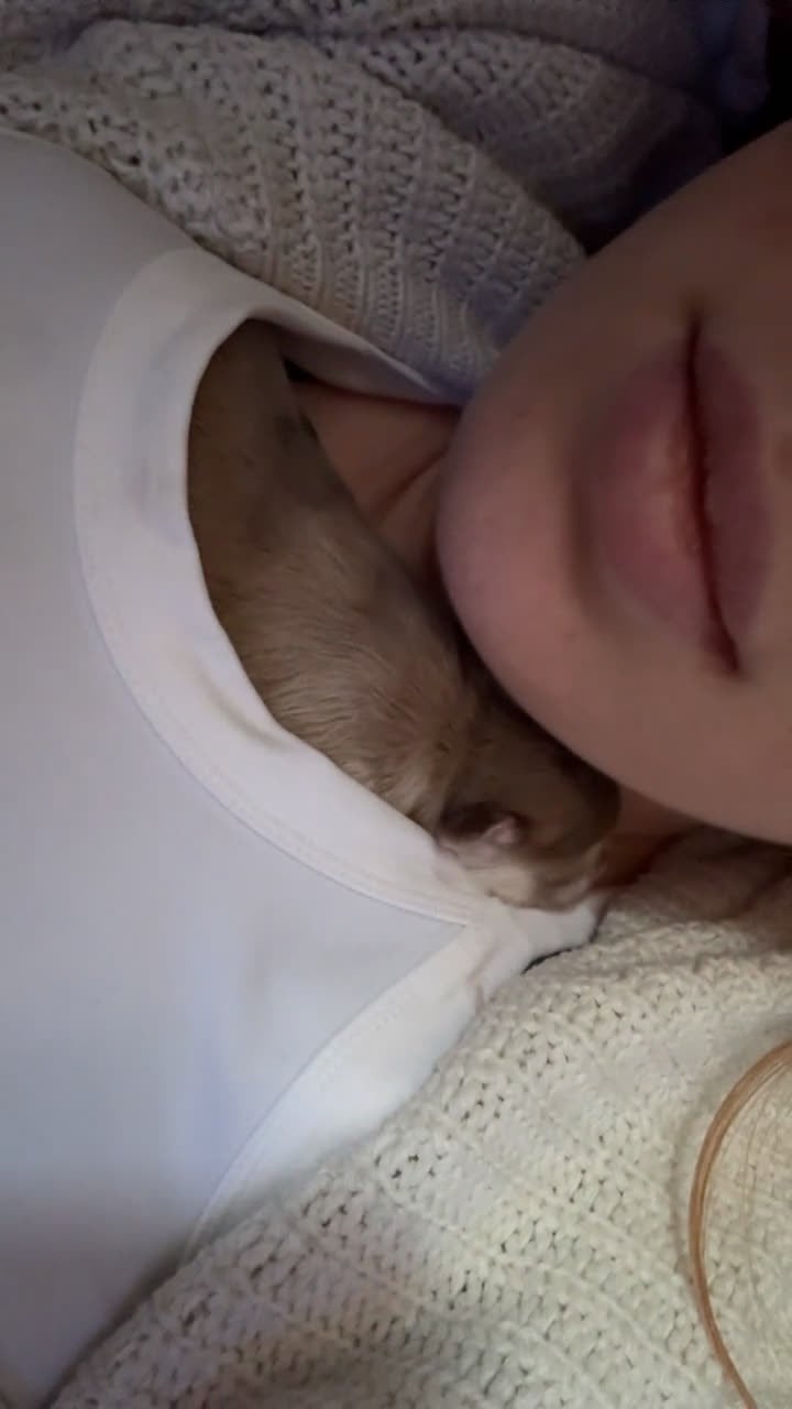 Mixed Breed dogs for sale: Ange - Video 1