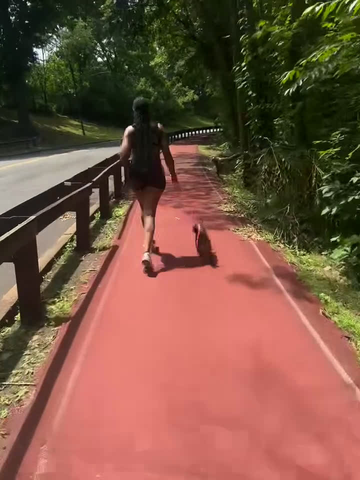 Yorkiepoo dogs for sale: Yorkiepoo Puppy 2 - Video 8