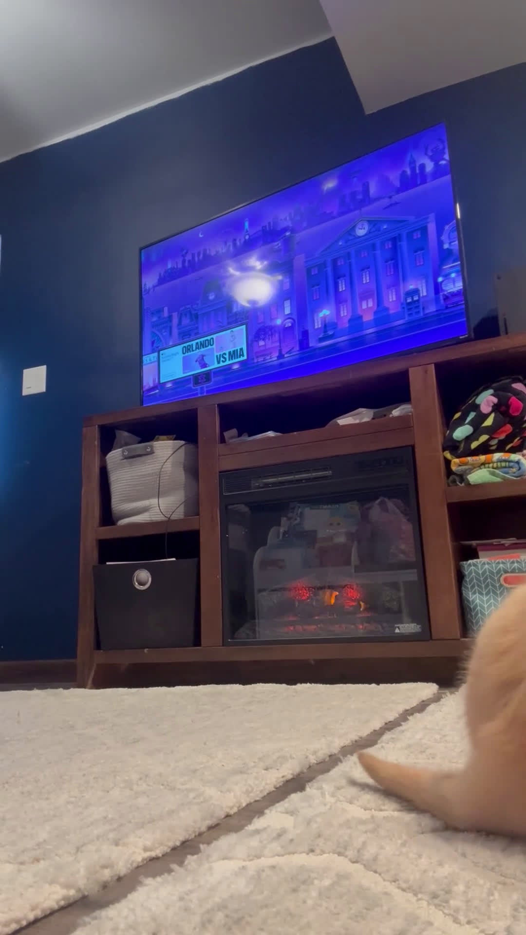 Golden Retriever dogs for sale: Golden Retriever Puppy 1 - Video 2