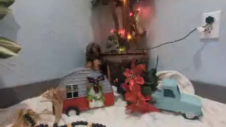 Yorkshire Terrier dogs for sale: Moose - Video 2