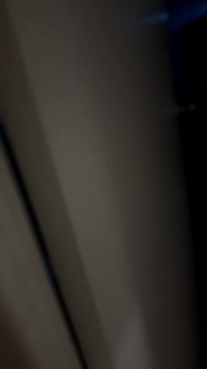 American Pit Bull Terrier dogs for sale: American Pit Bull Terrier Puppy 1 - Video 1