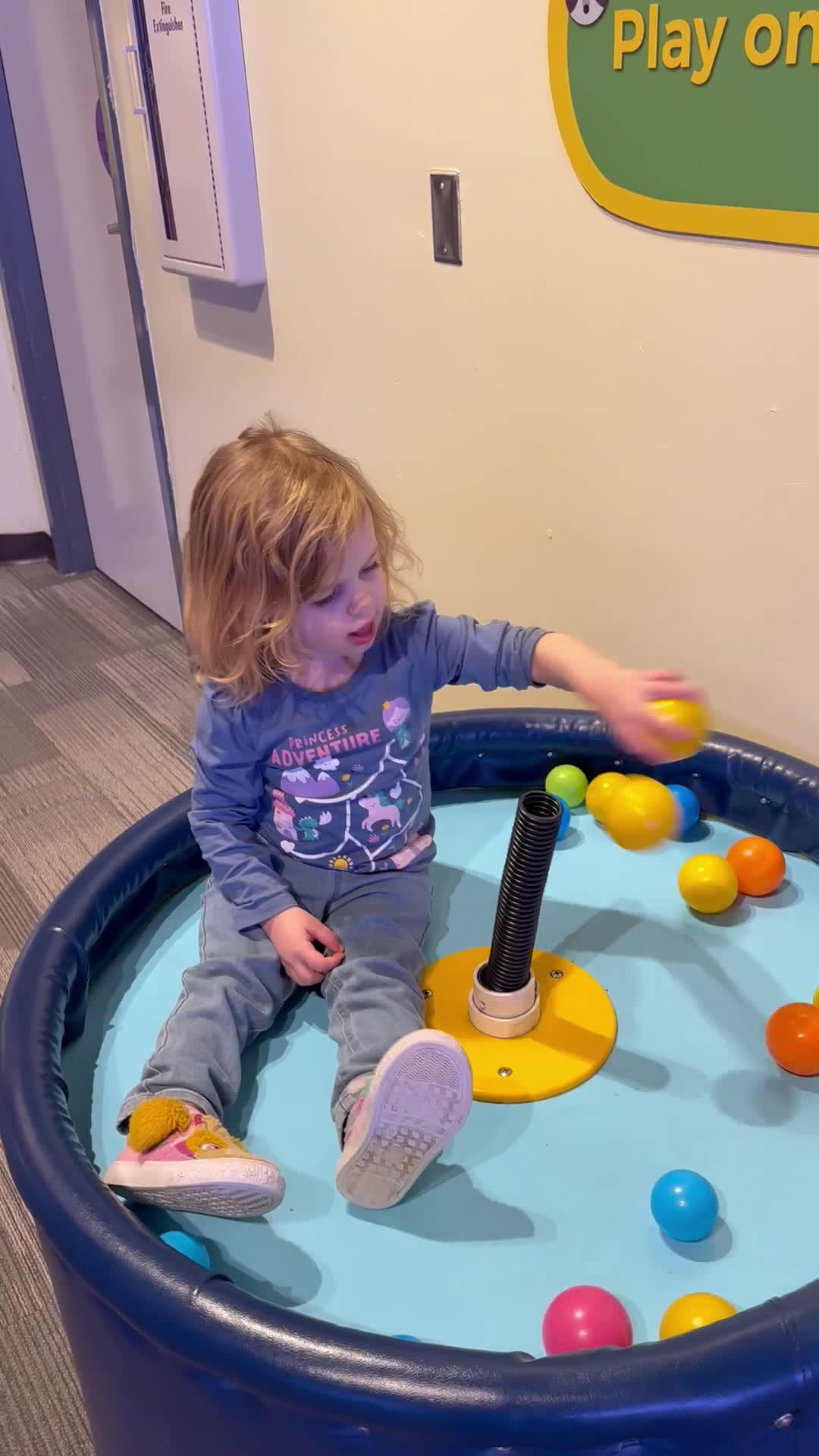 Yorkiepoo dogs for sale: Teacup Princess - Video 1