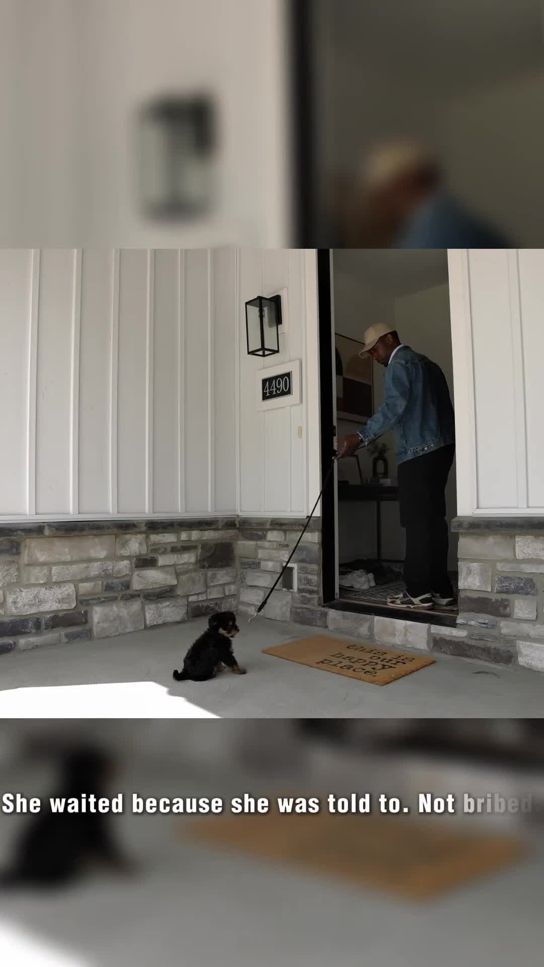 Aussiedoodle dogs for sale: Mila - Video 1