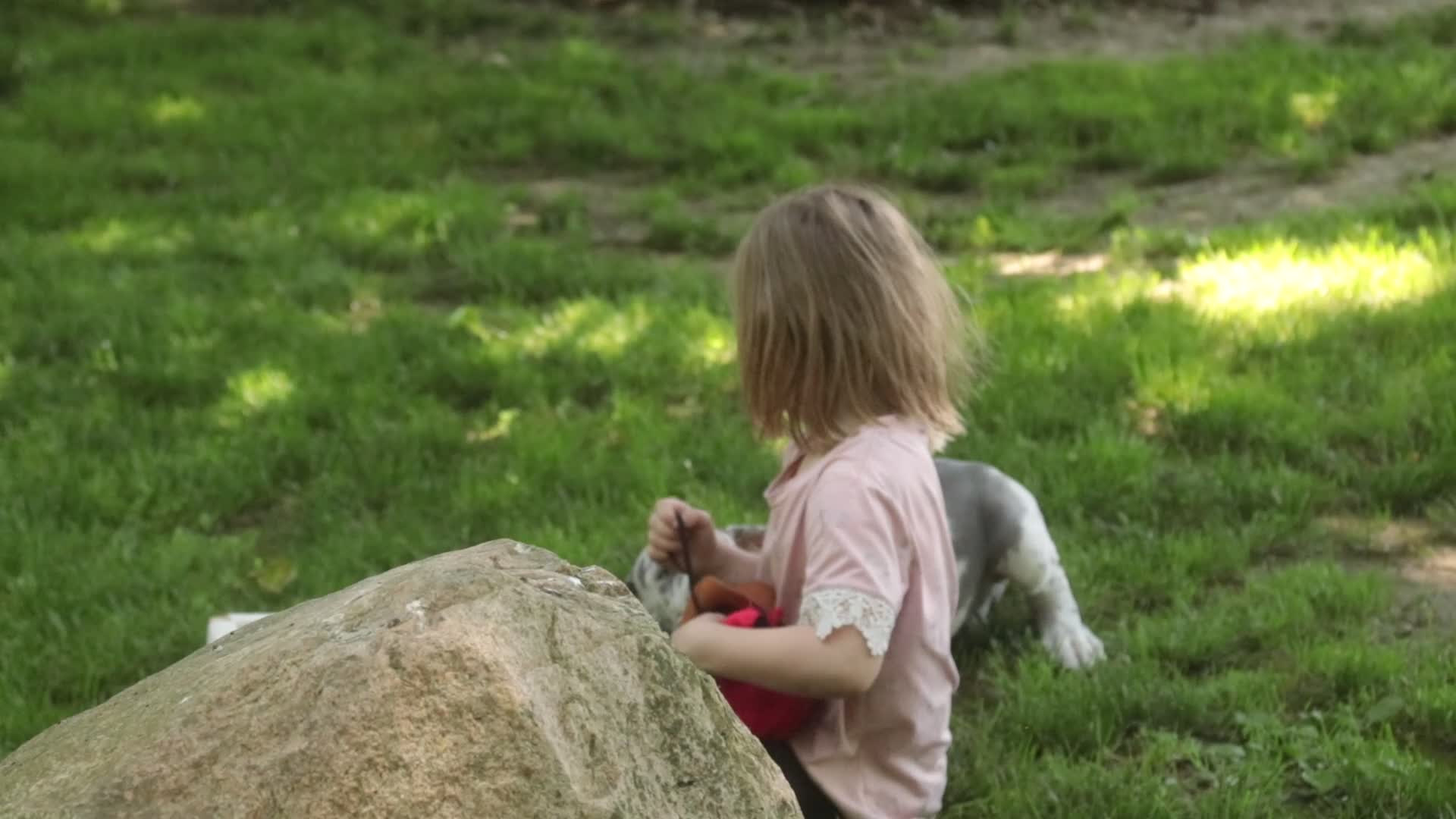 Great Dane dogs for sale: Skye - Video 1