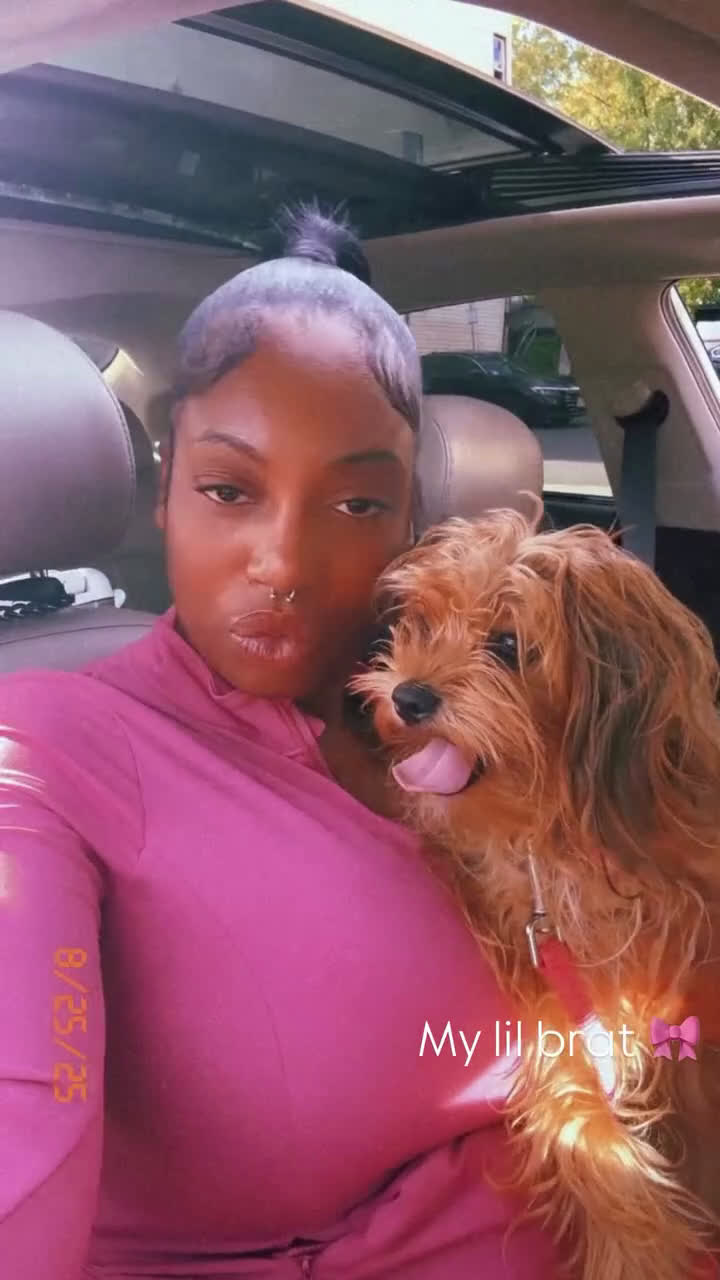 Yorkiepoo dogs for sale: Yorkiepoo Puppy 2 - Video 1