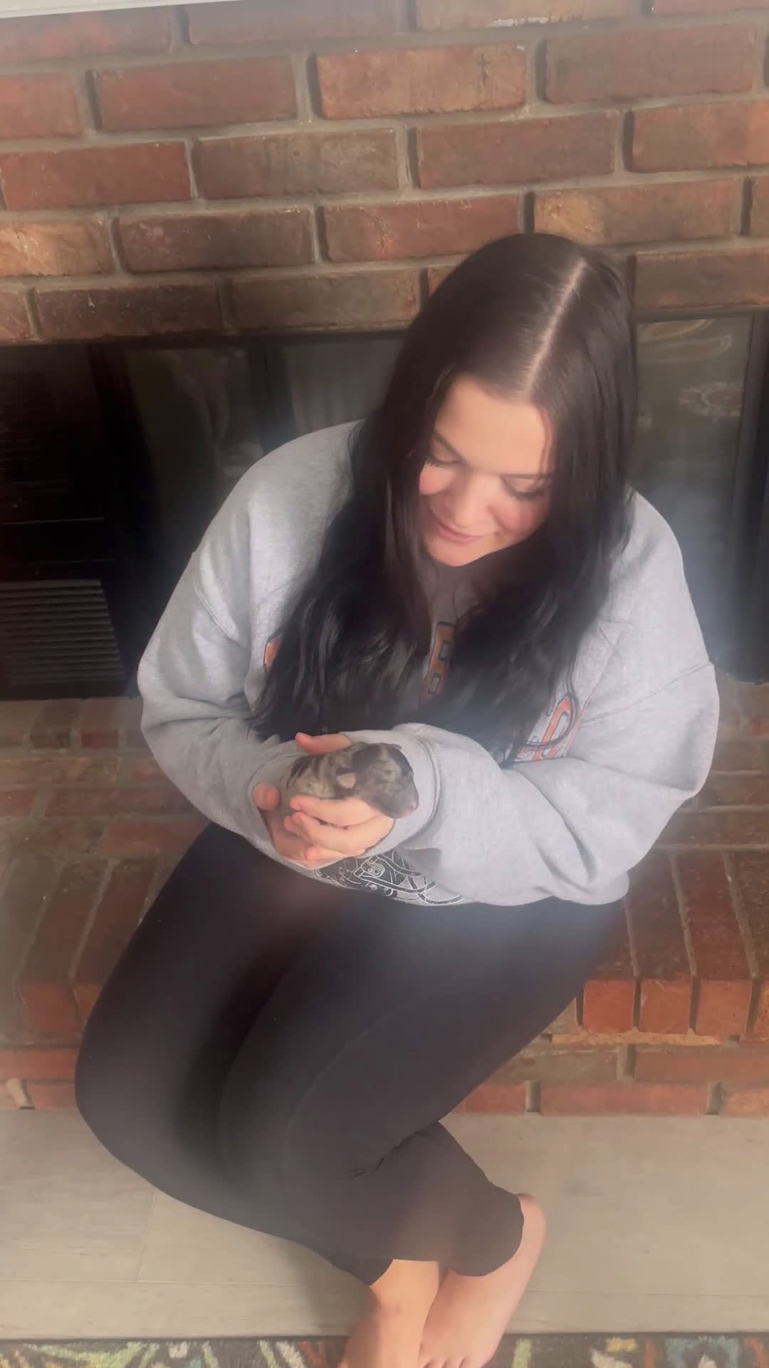 Labradoodle dogs for sale: Comet - Video 3