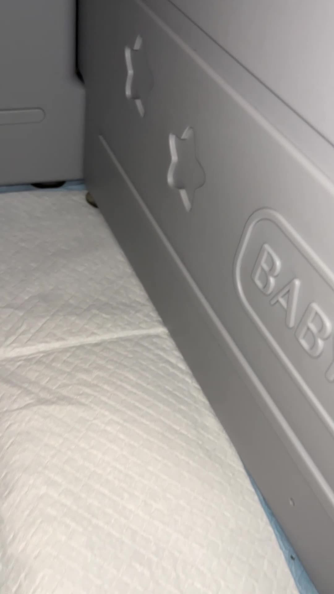 Dachshund dogs for sale: Dachshund Puppy 2 - Video 1