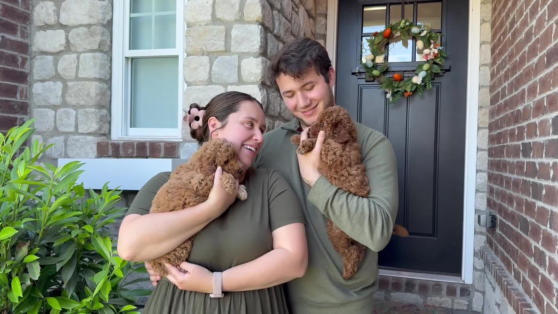 Mini Goldendoodle dogs for sale: Peach Collar 🐾🧡 - Video 1