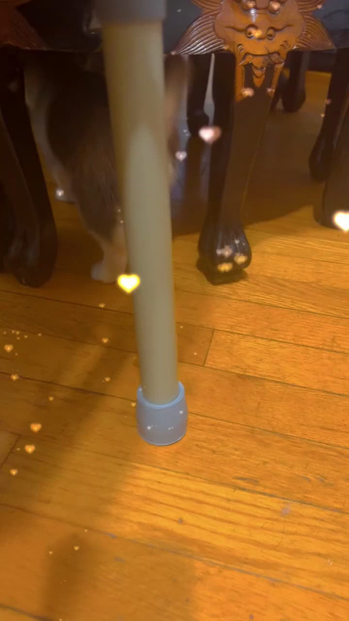 Mixed Breed dogs for sale: Twin - Video 1