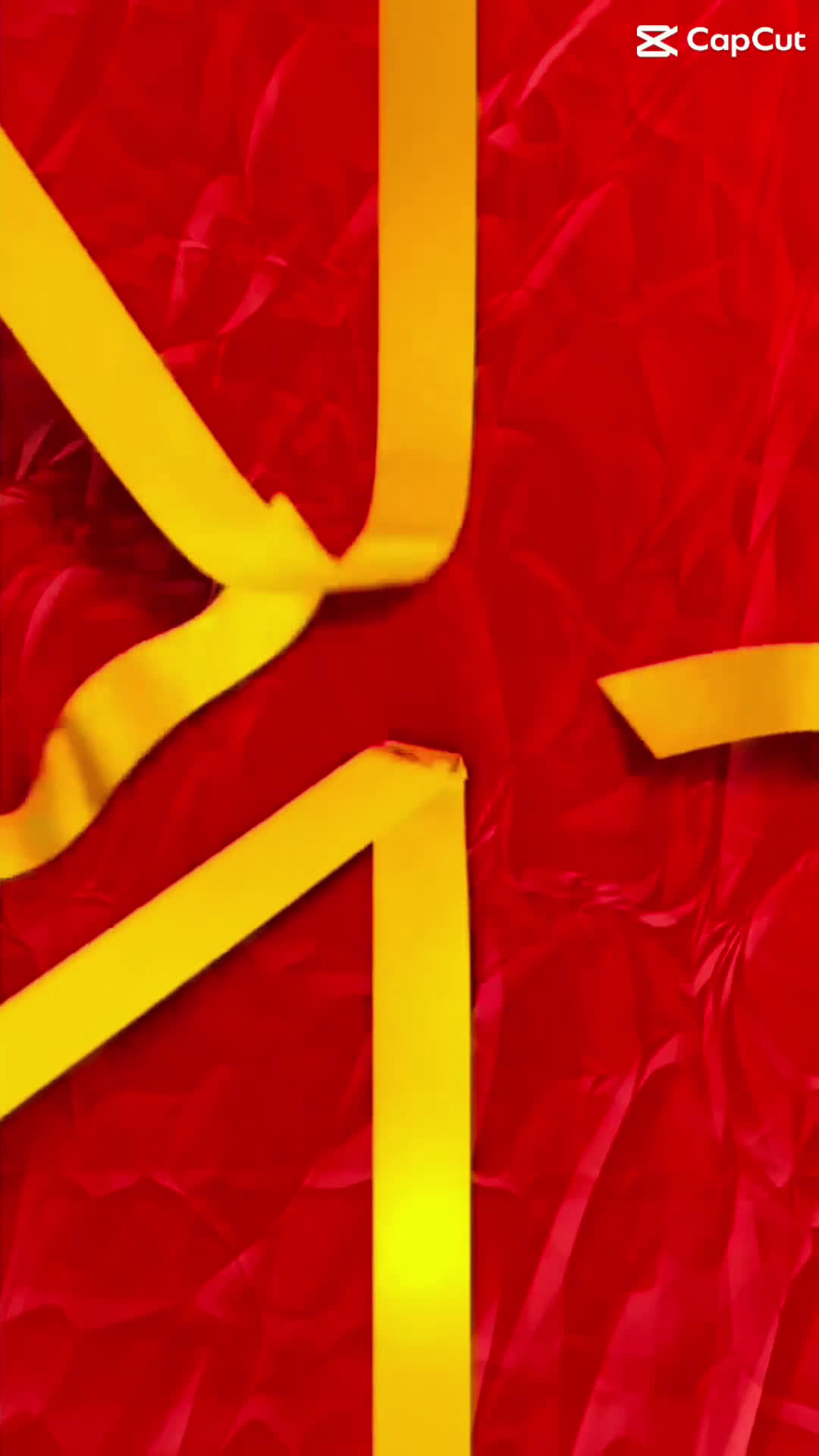 Shihpoo dogs for sale: Shihpoo Puppy 8 - Video 2