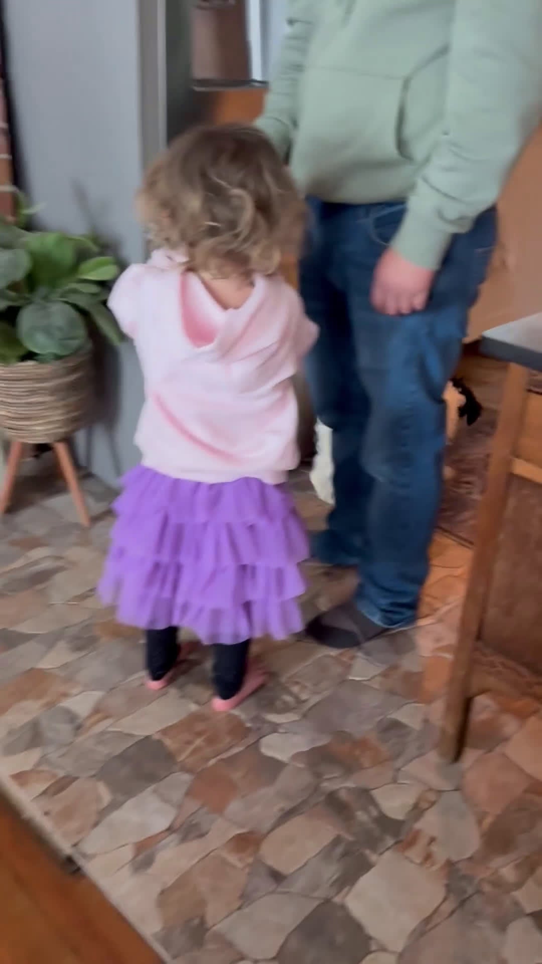 Mixed Breed dogs for sale: Patty - Video 2