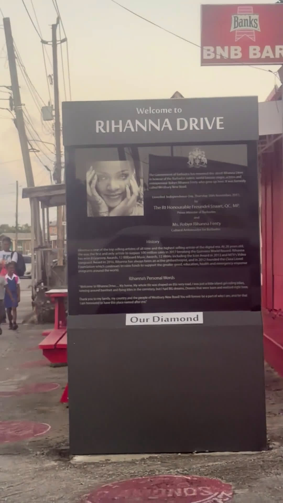 Yorkiepoo dogs for sale: Yorkiepoo Puppy 1 - Video 2