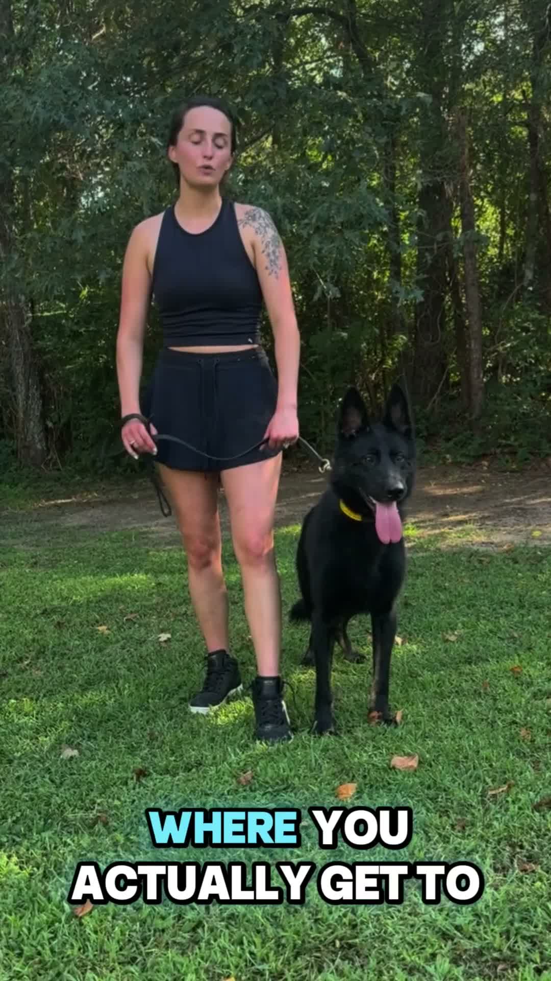 German Shepherd dogs for sale: Bady - Video 1
