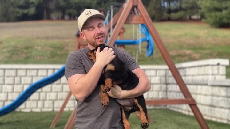 Rottweiler dogs for sale: Harley - Video 1