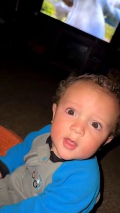 English Bulldog dogs for sale: English Bulldog Puppy 1 - Video 1