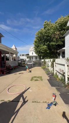 Belgian Malinois dogs for stud: Beast bandit the beast  - Video 1