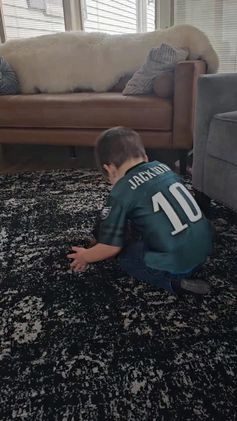 Miniature Poodle dogs for sale: Shadow - Video 1