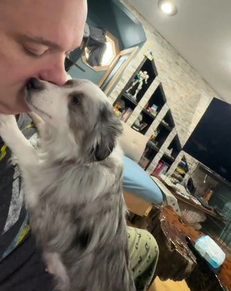 Mixed Breed dogs for sale: Slate - Video 1