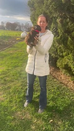 Mini Bernedoodle dogs for sale: Taylor - Video 1