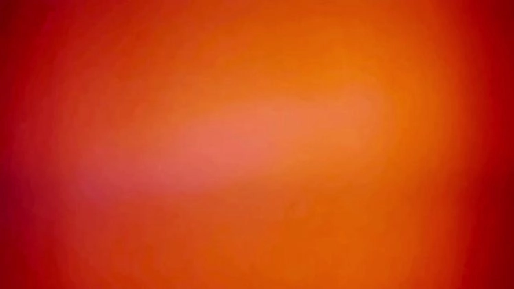 Miniature Dachshund dogs for sale: Snuggles   - Video 1