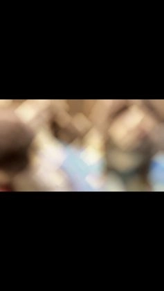 Mixed Breed dogs for sale: Steele OFA DNA  - Video 1