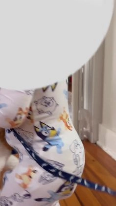 Goldendoodle dogs for sale: Mackenzie - Video 1