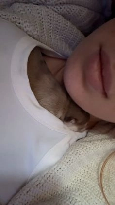 Mixed Breed dogs for sale: Ange - Video 1