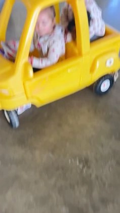 Yorkshire Terrier dogs for sale: Yorkshire Terrier Puppy 1 - Video 1