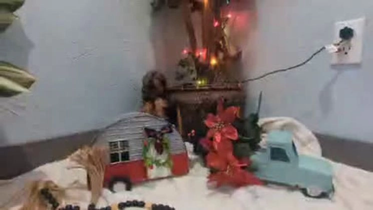 Yorkshire Terrier dogs for sale: Moose - Video 2