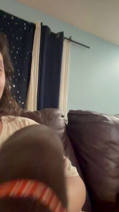 Mixed Breed dogs for sale: Carmella / Cinimini / Honey / Albany / Mini zoo / midnight - Video 1