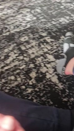 Mini Goldendoodle dogs for sale: Toby - Video 1