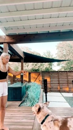 Siberian Husky dogs for stud: Moose Ausky  - Video 2