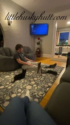 Pomsky dogs for sale: Bashful  - Video 1